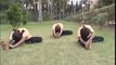 Yoga For Beginners  Sitting Postures  Forward Bending
