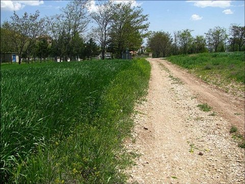 Muharrem Temiz - Mihriban (Malatya Fethiye)