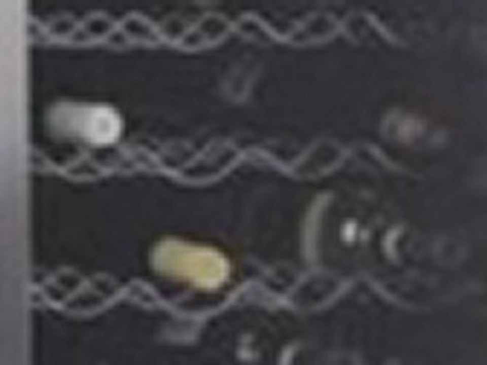 GE Profile  PWR04FANBS 20 Wine Center, 29 Bottle Capacity - Stainless Steel and Black