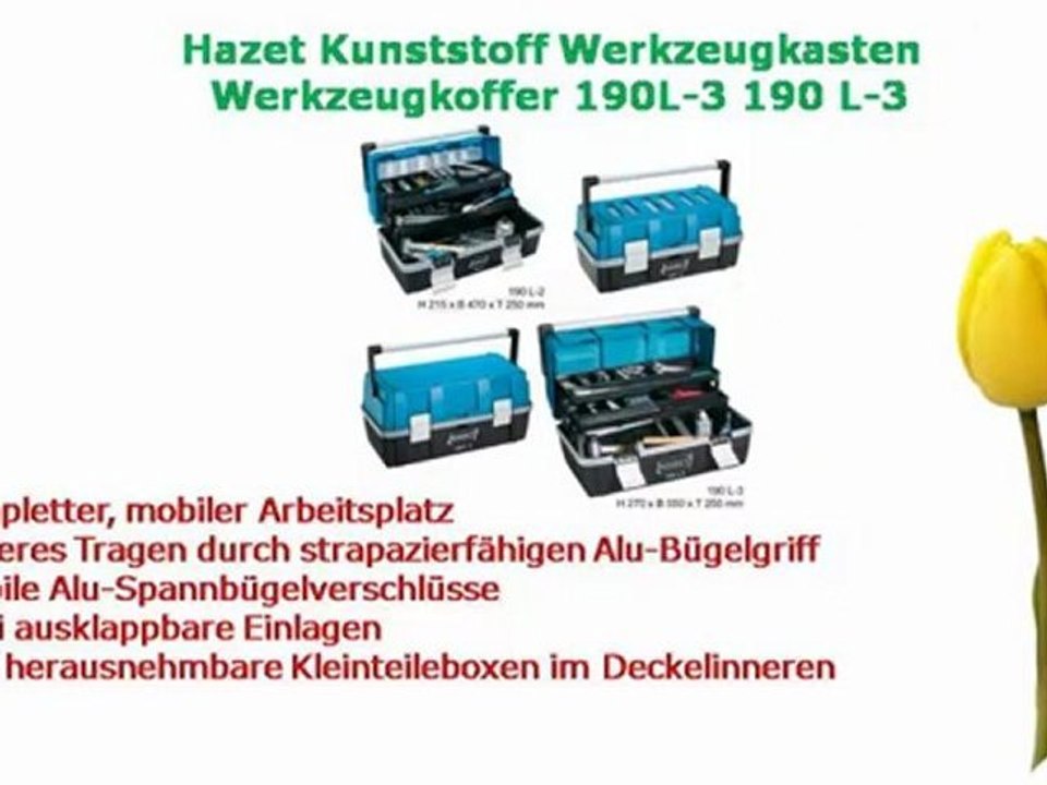 10 Besten Hazet Zum Kaufen