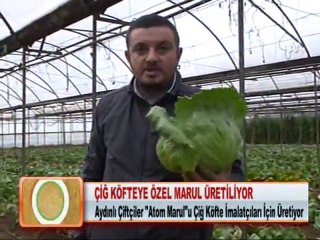 ÇİĞ KÖFTEYE ÖZEL MARUL ÜRETİLİYOR 17.01.2012