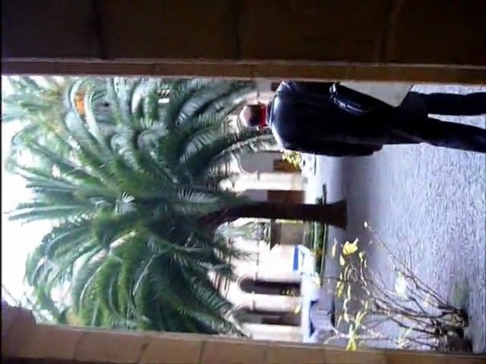Deusto