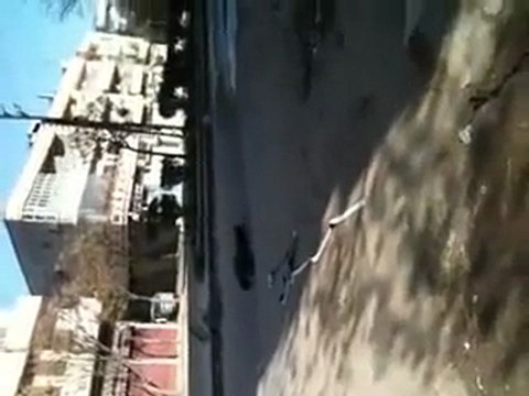 فري برس لحظة سحب الشهيد شفيق يحيى مشرف واصابة المسعف ايضا