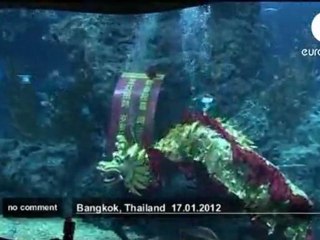 Thailand News - Underwater Chinese Dragon Dance in Bangkok
