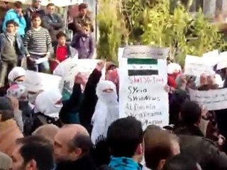 فري برس   اعتصام مثقفي مدينة ادلب 5 12 2011 ج1