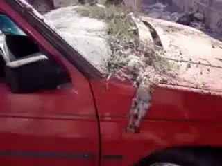 فري برس   إطلاق الأمن الرصاص على السيارات المدنية بشكل عشوائي 6 12 2011