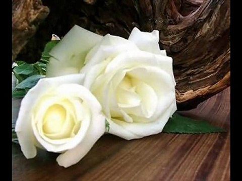 Eylem Aktaş Söyleyemedim'