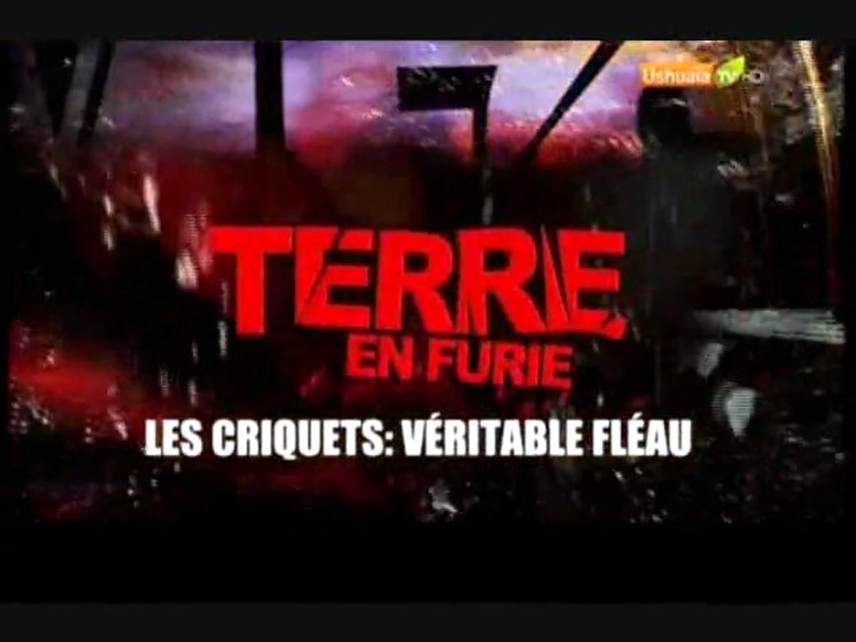Terre en furie (Les criquets : véritable fléau)