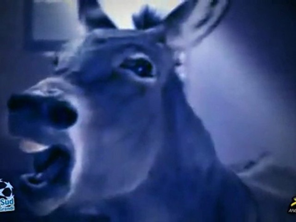 XG1 / UN CAVALLO DI RAZZA CORRE IN EUROPA / la galoppata verso la Champions (2010-11)