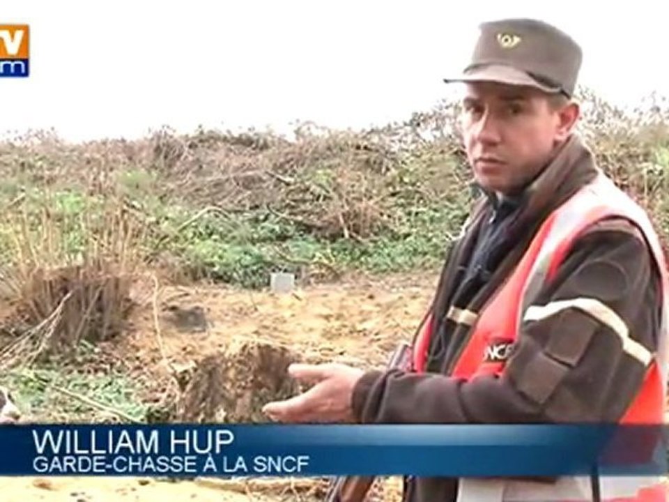 Animaux accidentés sur les voies : la SNCF recrute des gardes-chasse