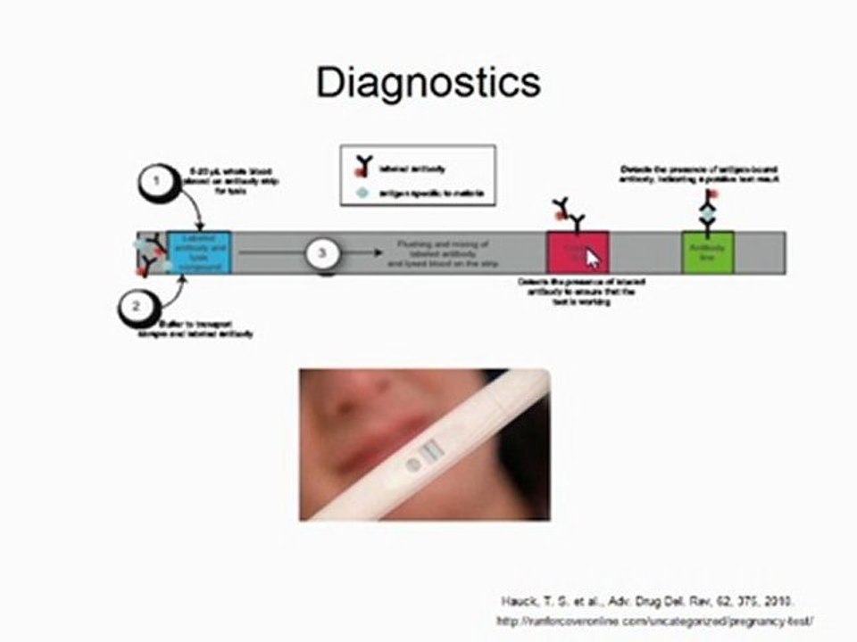 Warren Chan - Nanomedicine (part 2)