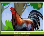 Animated Nursery Rhymes - Cock A Doodle Doo