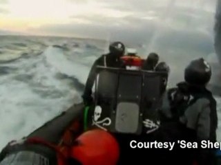 Sea Shepherd video shows whaling clashes