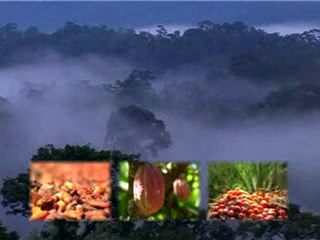 Profile  Morowali District from INDONESIA  /  Travel Guide Indonesia