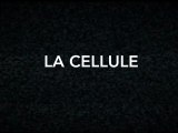 La cellule : les coulisses de la 