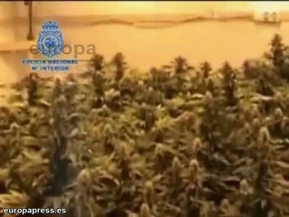 Video herunterladen: Detienen a doce narcos con cinco kilos de speed