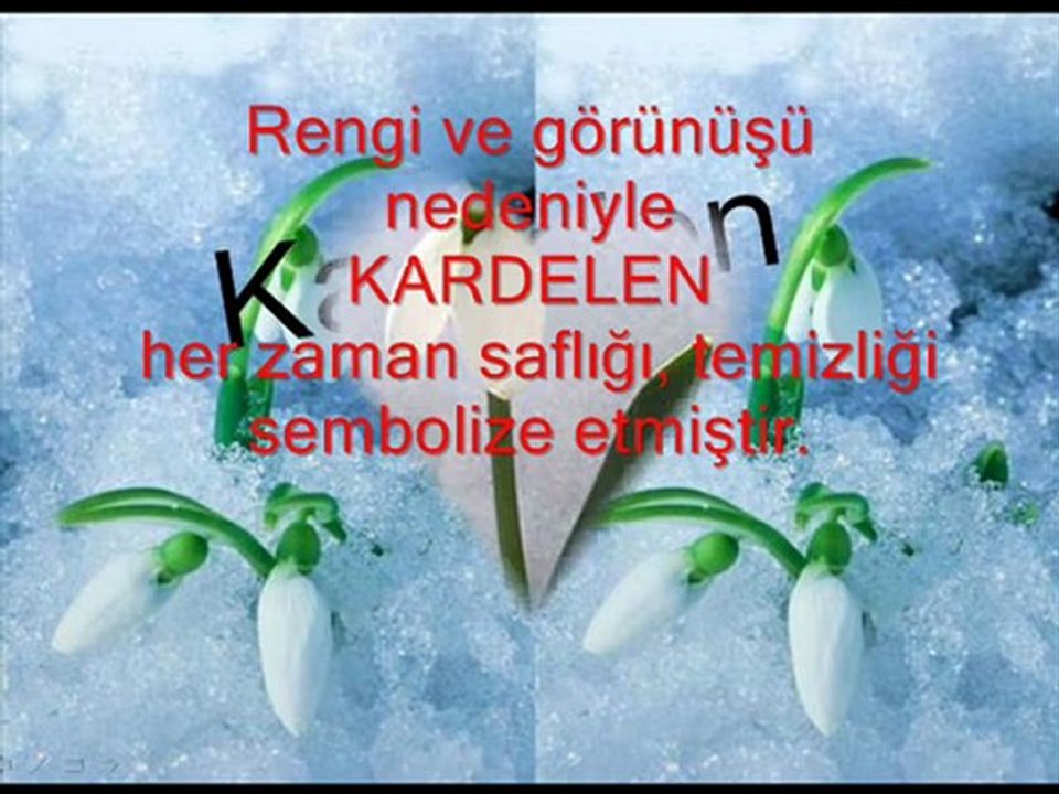 SENİ NE ÇOK SEVDİĞİMİ