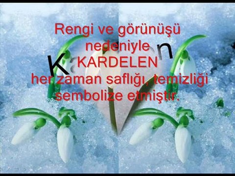 SENİ NE ÇOK SEVDİĞİMİ