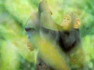 The Greatest Show on Earth www.bios.tr.cx