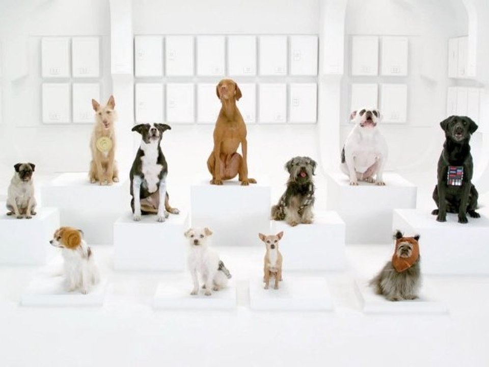 The Bark Side: Dernière pub Star Wars de Volkswagen
