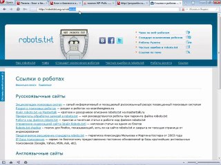 10.1 Файл robots.txt