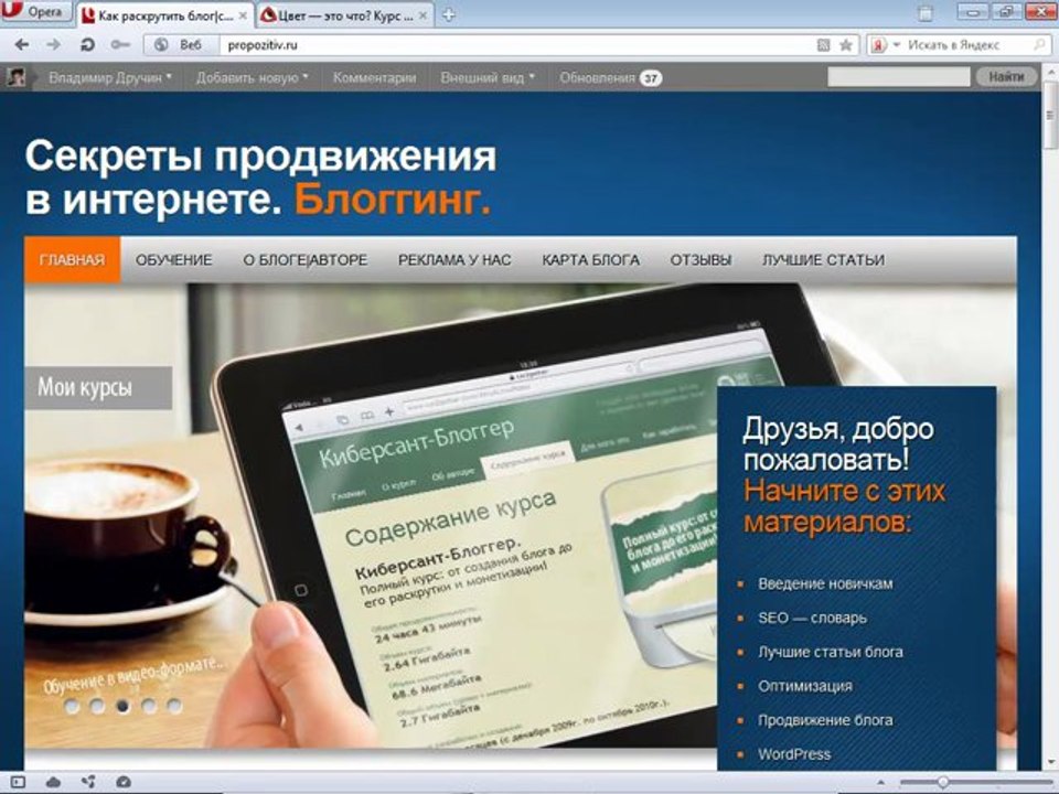 1.1 Смысл блоггинга