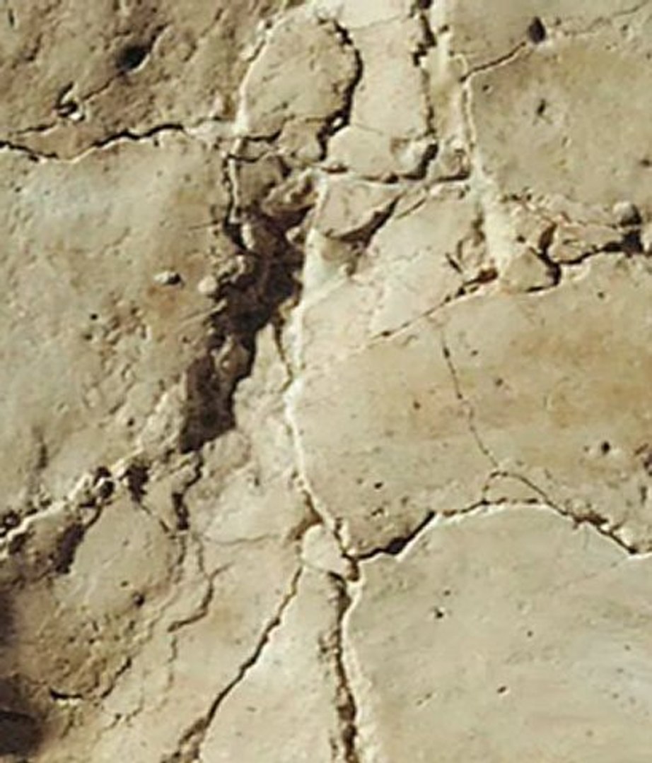 Pioche actualité 06