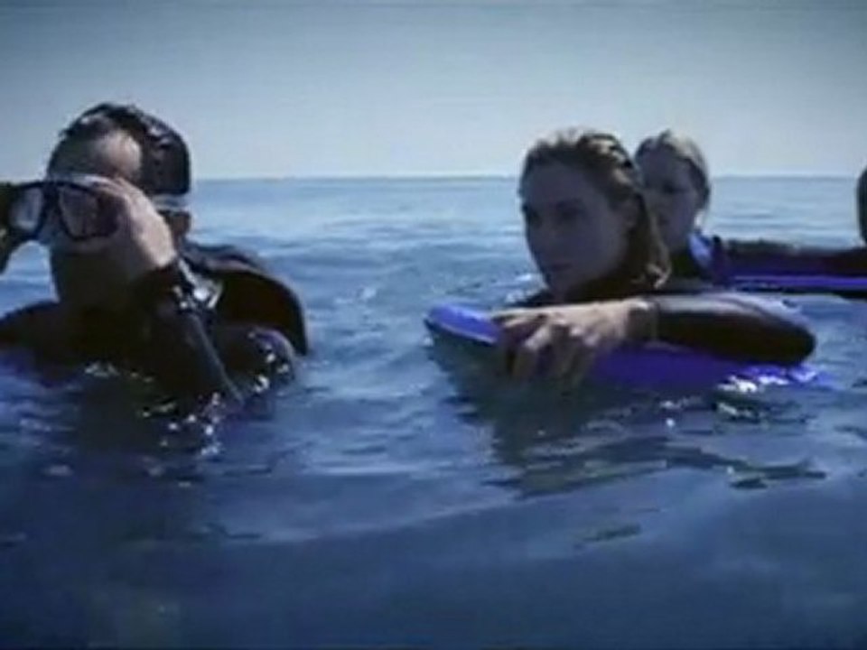 The Reef