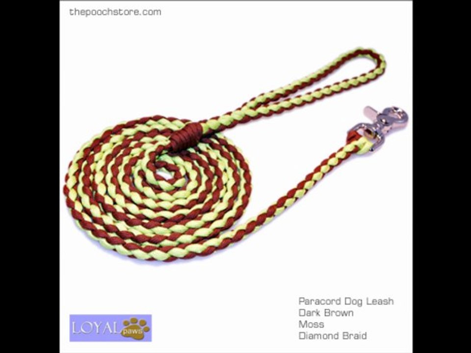 Paracord Leash