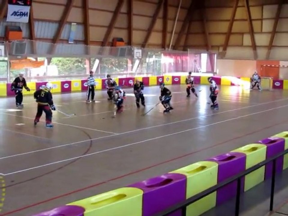 Journée roller hockey 15/01/2012 à Six fours les plages