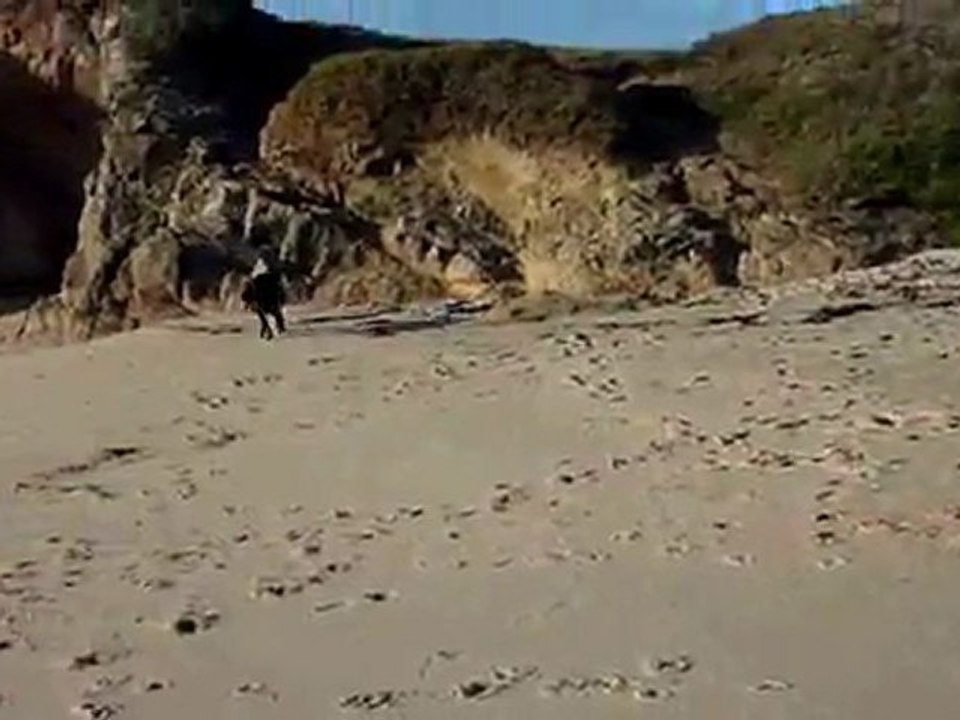 Neeko à la plage