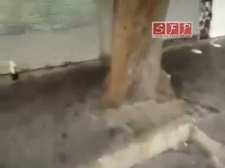 فري برس | حماة سرقة المحلات التجارية 9-8-2011