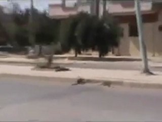 فري برس   تلبيـــــــسة جمعة بشائر النصر دبابات مدرسة الطلائع 19 8 2011