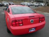 2008 Ford Mustang for sale in Raleigh NC - Used Ford by EveryCarListed.com