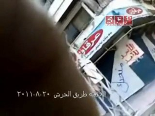 فري برس   من هنا مر تتار الاسد اللاذقية 20 8 2011