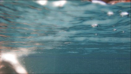 Yunus Basaran - Abduction