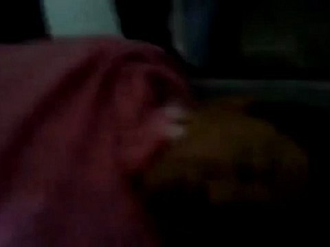 فري برس حمص تدمر الشهيد الطفل عبد القادر فارس 24 8 2011