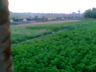 فري برس   دير الزور  رتل من الدبابات متجه إلى بلدة القورية 23 8 2011