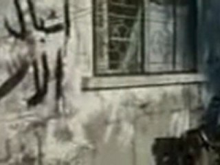 فري برس   جبلة  دريبة تدمير شامل من قبل عصابات الاسد 25 8 2011