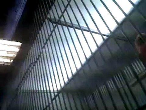 VID 00177-20120118-1601