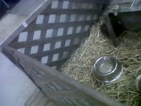 VID 00178-20120118-1602