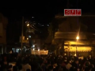 فري برس   الزبداني 28 8 2011