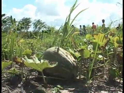 Derrame de crudo en parroquia del estado Monagas