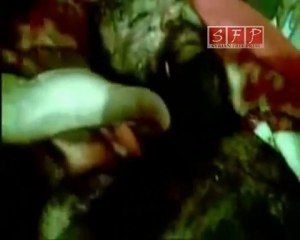 فري برس   إدلب قرية جبالا الشهيد احمد مصطفى العبدالله 4 9 2011