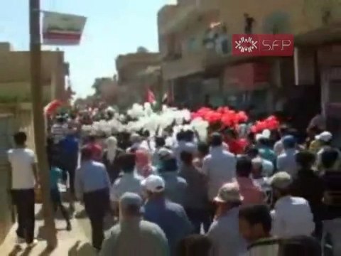 فري برس عامودا جمعة الحماية الدولية 9 9 2011