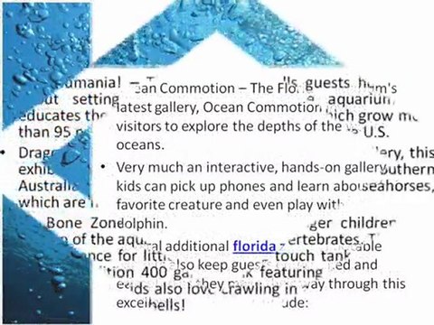 Information about Florida Aquariums and its activities
