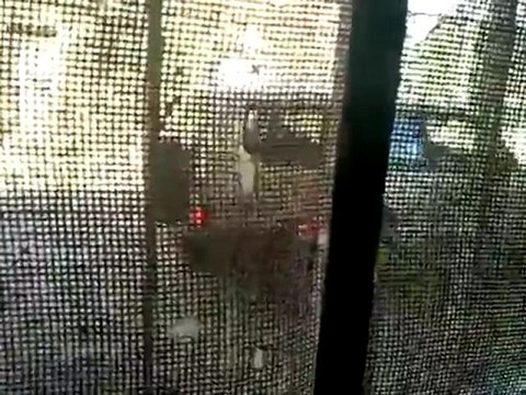 فري برس درعا خربة غزالة دخول قوات الأمن القمعية للمدينة 5 10 2011