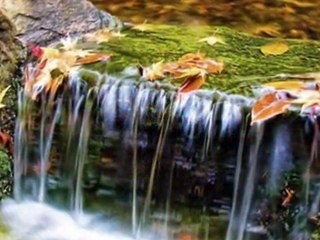 GÖKSEL BAKTAGİR-SONBAHAR AŞKI