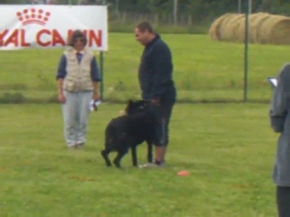 Bendjy des Wallabies, Obé 1