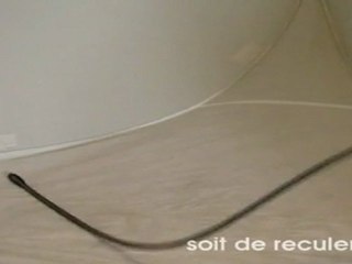 location deboucheur de canalisations